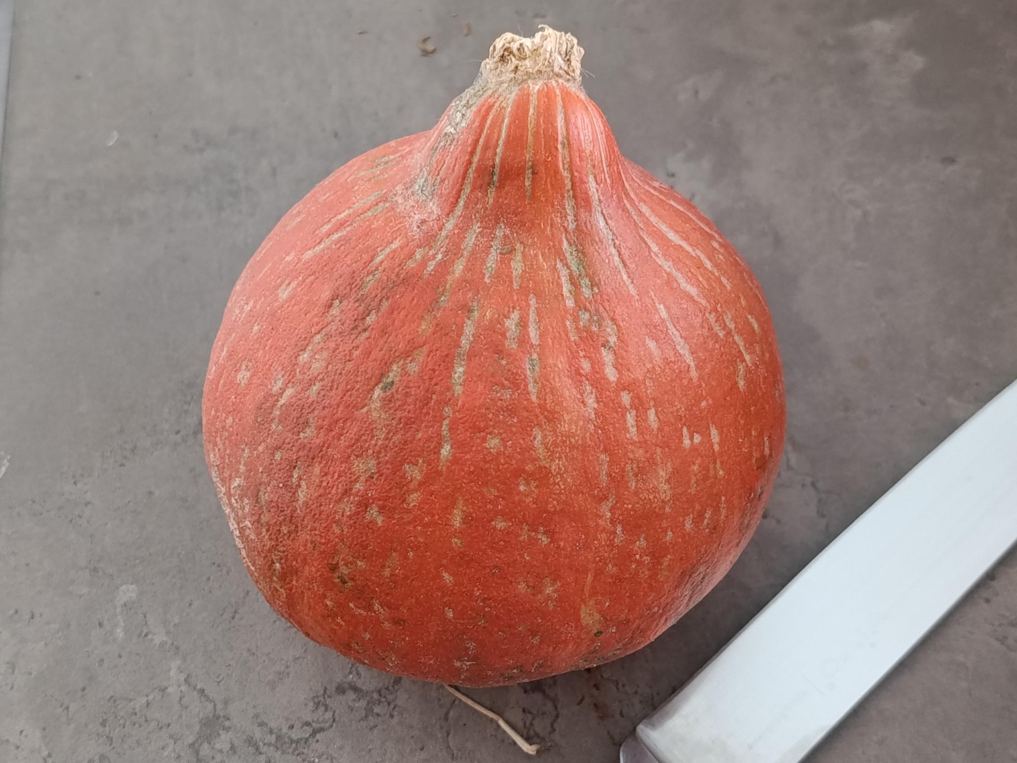 Panier du lundi 28 septembre